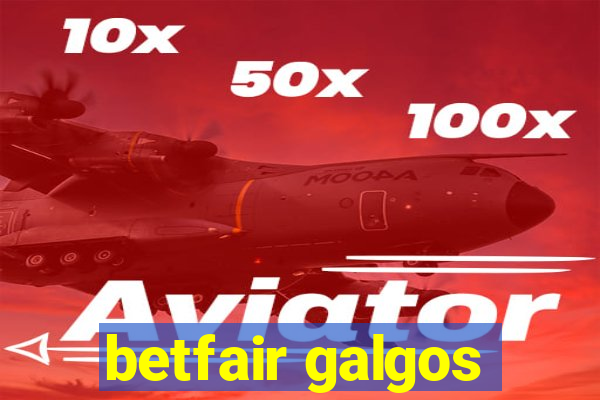 betfair galgos